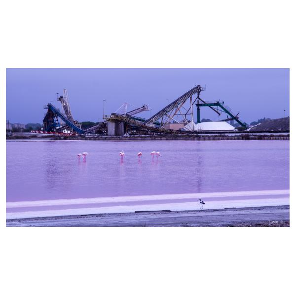 PHOTO84, CLUB, 84 , LUBERON